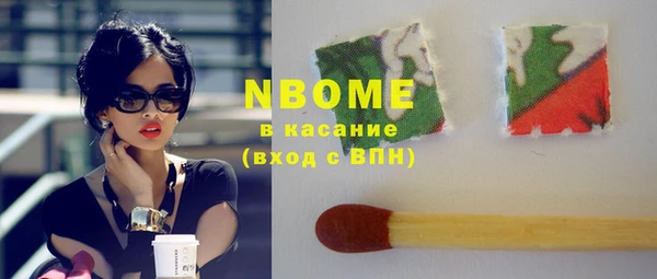 индика Балахна