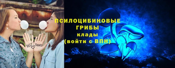 индика Балахна
