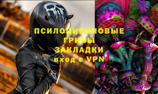 индика Балахна