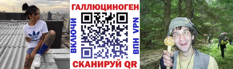 Псилоцибиновые грибы Psilocybine cubensis  Бокситогорск 