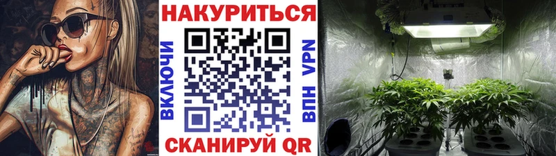Конопля THC 21%  Бокситогорск 
